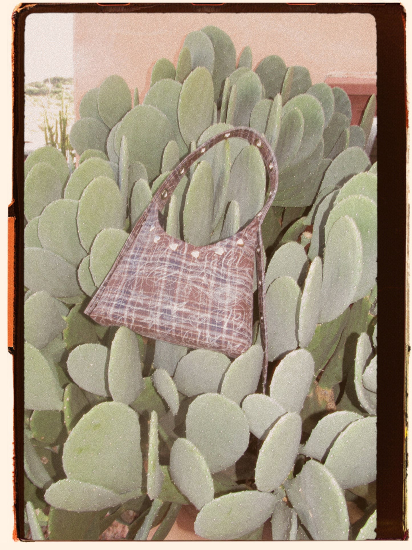 Rodeo bag